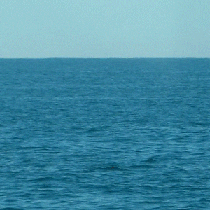 Two White Ships Sailing GIF