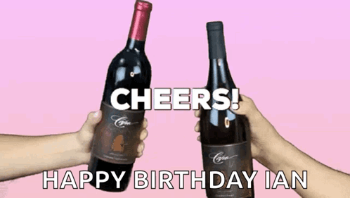 Two Wine Bottles on Pink Background