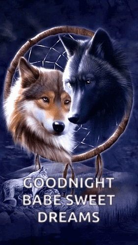 Two Wolves Dream Catcher Goodnight Babe Sweet Dreams GIF