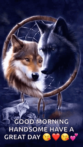 Two Wolves in Dream Catcher Good Morning Handsome Have a Great Day
