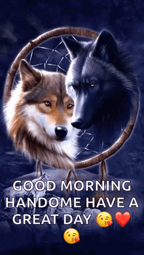 Two Wolves in Front of Dream Catcher