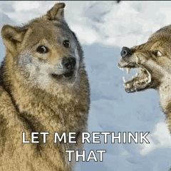 Two Wolves Standing in Snow
