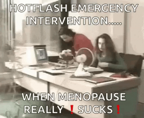 Two Women Are Sitting At A Desk In Front Of A Computer With A Fan . GIF