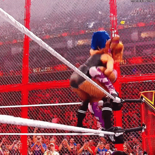 two women are wrestling in a ring with a crowd behind them and a sign that says hell in a cell