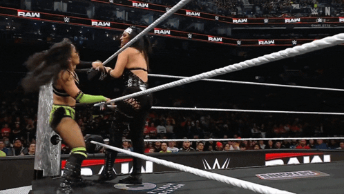 Two Women Are Wrestling In A Ring With The Word Raw On The Walls GIF