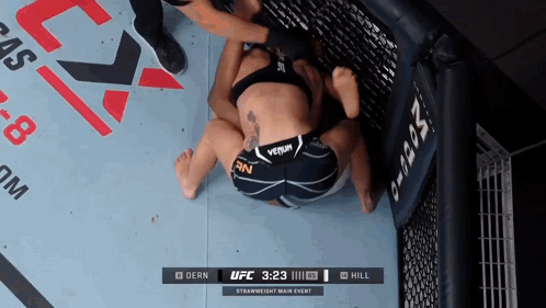 Two Women Wrestling In UFC Cage GIF