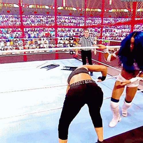 Two Women Are Wrestling In A Wrestling Ring With A Referee Watching . GIF
