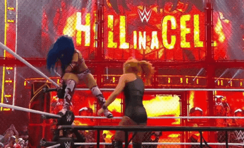 two women are wrestling in a wrestling ring with a sign that says hell in a cell in the background .