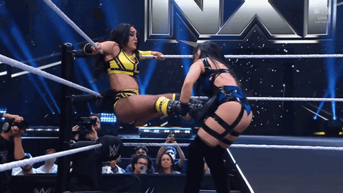 Two Women Are Wrestling In A Wrestling Ring With A Wwe Logo Behind Them GIF