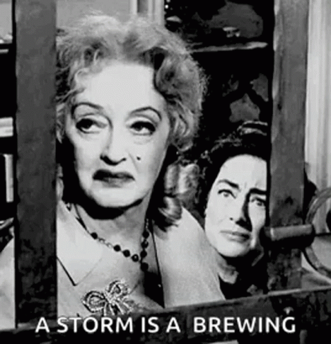 Two Women Behind Fence A Storm Is a Brewing