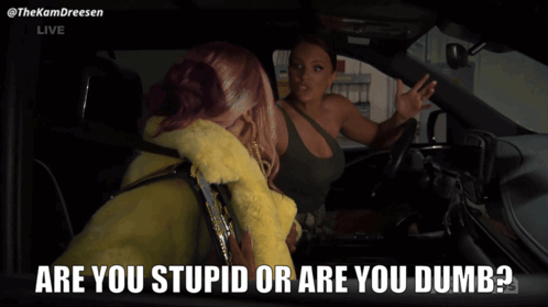 Two Women In A Car With The Words " Are You Stupid Or Are You Dumb " On The Bottom GIF