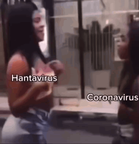 Two Women Next to Hantavirus and Coronavirus