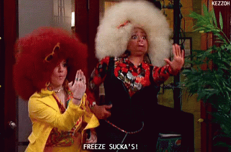 Two Women With Big Afros Saying Freeze Sucka GIF