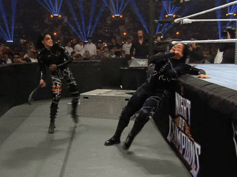 Two Women Wrestling In A Ring With A Sign That Says Night Of Champions On It GIF