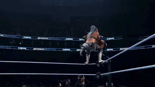 Two Women Wrestling In A Ring With PPG Water Bottle GIF