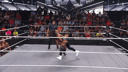 Two Women Wrestling in Ring No Weapons Sign