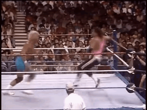 Two Wrestlers Are Fighting In A Boxing Ring While A Crowd Watches . GIF
