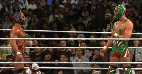 Two Wrestlers Are Standing In A Ring With A Crowd Behind Them And One Of Them Has A Mask On GIF