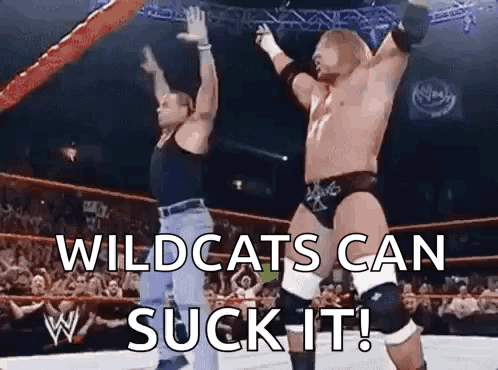 two wrestlers are standing in a wrestling ring with their arms in the air and the words wildcats can suck it .