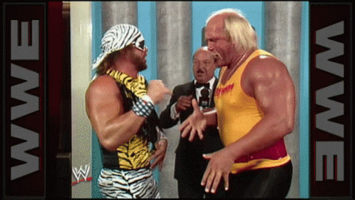 Two Wrestlers Are Standing Next To Each Other In Front Of A Banner That Says Wwe GIF