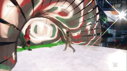 Two Wrestlers Fighting In Ring Nextbigthing Live GIF