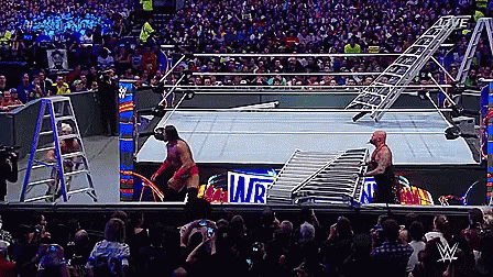 Two Wrestlers In A Ring With Sign Saying WR GIF