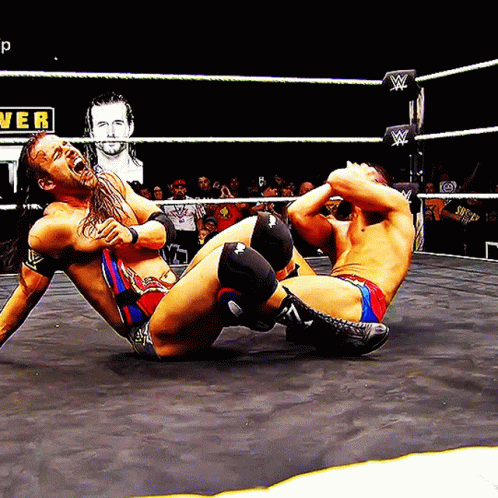 Wrestlers In Ring With Power Sign GIF