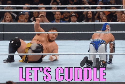 Two Wrestlers In A Wrestling Ring With The Words Let 'S Cuddle On The Bottom GIF