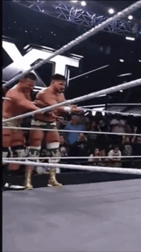 Two Wrestlers In Ring GIF