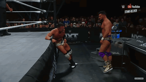 Two Wrestlers In Ring GIF