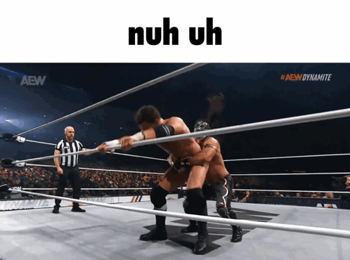 Two Wrestlers in Ring Saying Nuh Uh