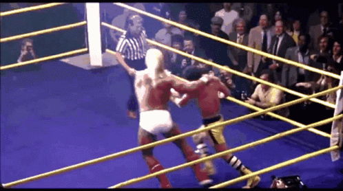 Two Wrestlers in Ring with Referee