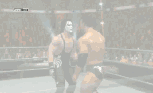 Two Wrestlers in Ring With WWE HD