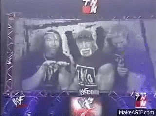 Two Wrestlers Standing in Ring