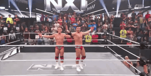 Two Wrestlers Standing In Ring GIF