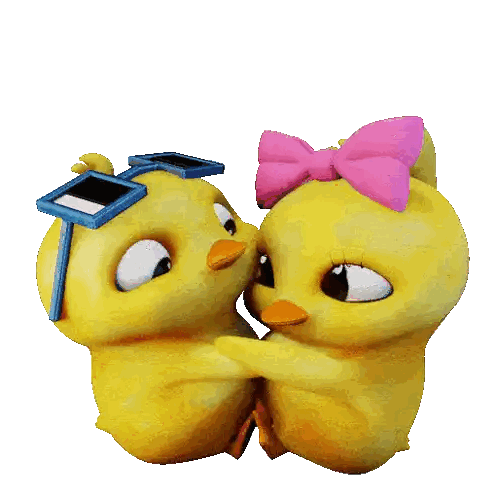 Two Yellow Ducks Wearing Sunglasses and Pink Bow