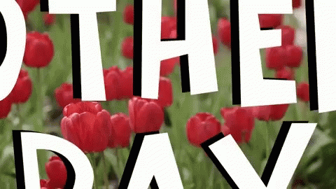Tyler Hope You're Having A Great Day GIF