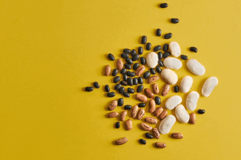 Types Of Legume Beans Raw Animation GIF