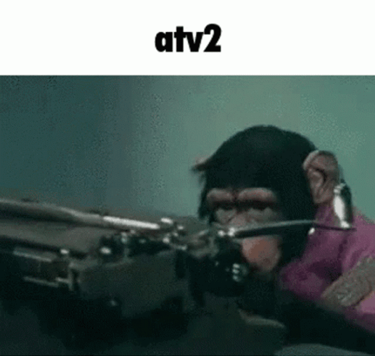 Typewriter Monkey Typing Fast GIF