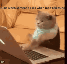 Typing Cat Aigis Mod Releasing GIF
