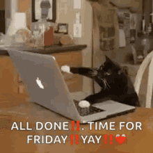 Typing Cat All Done Friday Yay GIF