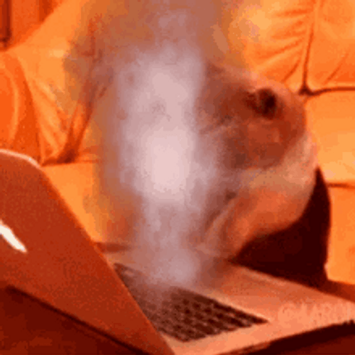 Typing Cat Fuming On Smoke GIF