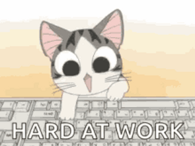 Typing Cat Hard At Work GIF