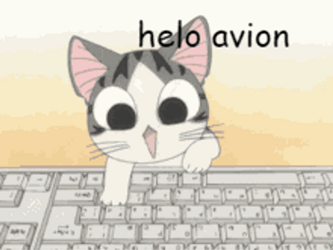 Typing Cat Helo Avion GIF