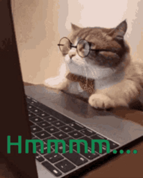 Typing Cat Hmm Glasses On GIF