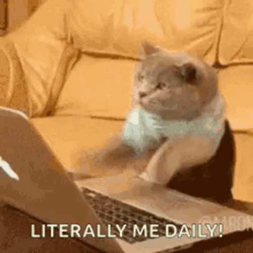 Typing Cat Literally Me Daily GIF