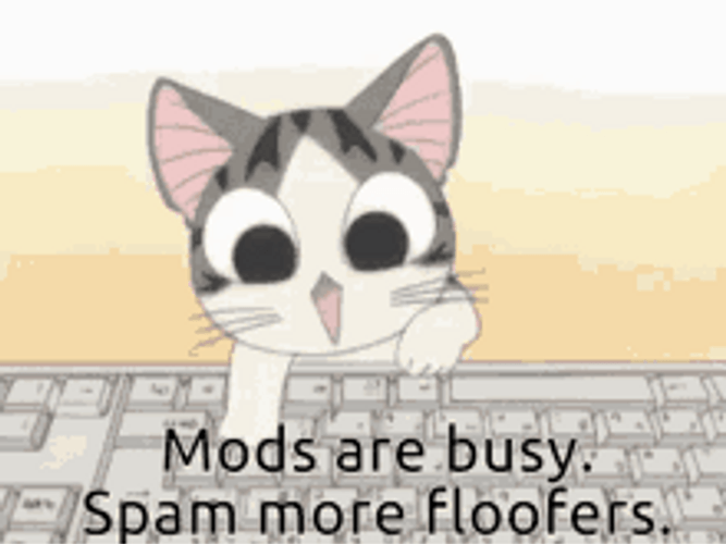 Typing Cat Mods Are Busy GIF