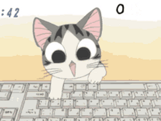 Typing Cat Omg Lol GIF
