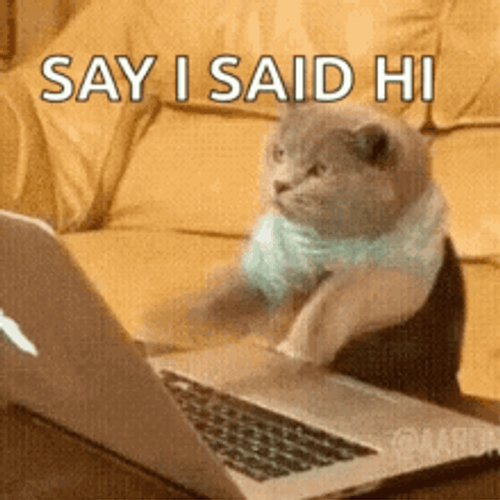 Typing Cat Say I Said Hi GIF