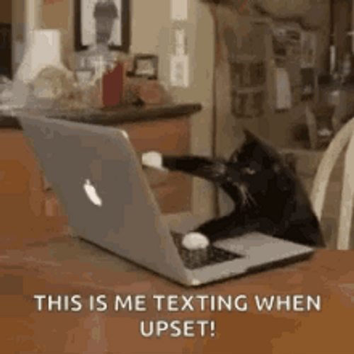 Typing Cat Texting When Upset GIF